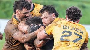 Image result for Celtic Crusaders