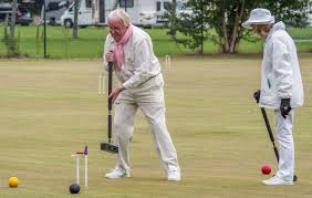 Image result for Blewbury Croquet Club