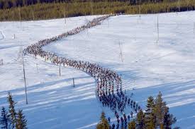 Image result for Scandinavian slope and cross country skiing