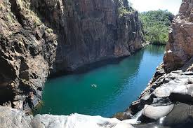 Billedresultat for kakadu n...