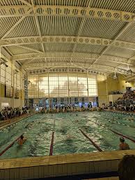 Image result for Dearne Valley Swimming Club