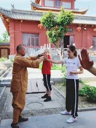 Image result for Shaolin Ancestors kung Fu School
