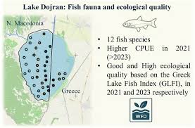 Image result for Squalius vardarensis