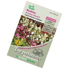 Image result for Nicotiana x sanderae `Perfume`F1