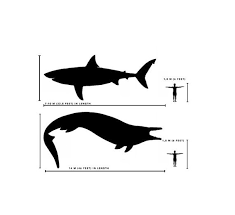 Image result for Notorynchus cepedianus