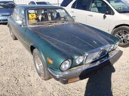 Image result for Brazilia 1980 Jaguar