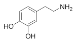 New Dopamine Model Could Assist In Drug Addiction And ...