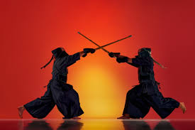 Image result for Budo Warrior Schools