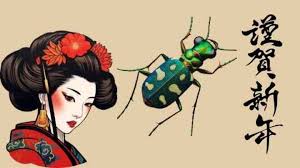 Attēlu rezultāti vaicājumam “Cicindela sylvatica imago”