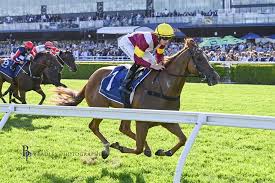 Image result for Epsom Eagles Football Club