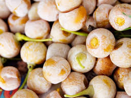 Attēlu rezultāti vaicājumam “Ginkgo biloba fruit”