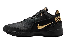 Image result for lebron james shoes
