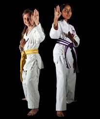 Image result for Loughton Wado-Kai Karate Club