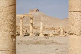 Attēlu rezultāti vaicājumam “Apamea ophiogramma”