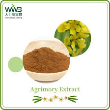 Attēlu rezultāti vaicājumam “Agrimonia pilosa”