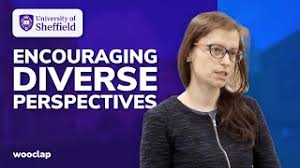 Image result for University of Sheffield Ultimate- Phat 'eds