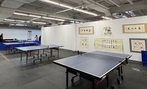 Image result for Pavilion Table Tennis Club