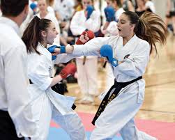 Image result for Rainham Judo Club