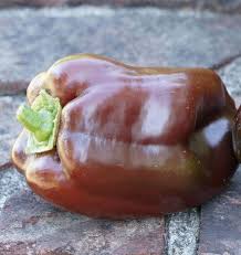 Afbeeldingsresultaat voor chocolate beauty sweet pepper