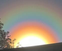 Attēlu rezultāti vaicājumam “pollen corona”