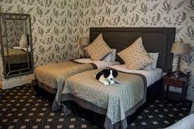 Image result for Coed-Y-Mwstwr Golf Club (1988) Ltd