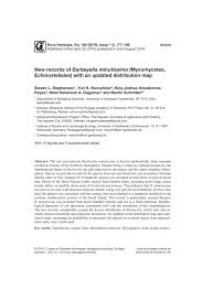 Attēlu rezultāti vaicājumam “Barbeyella minutissima”