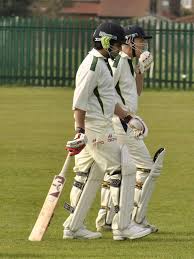Image result for Chelford Cricket Club