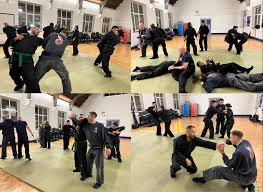 Image result for Bujinkan Truro Dojo