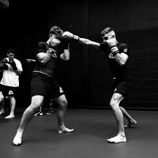 Image result for Uwe Boxing Club