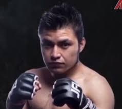 Image result for Wolverine MMA