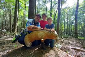 Image result for SUTTON BOWMEN ARCHERY CLUB