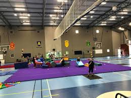 Image result for Zodiac Gymnastics Club