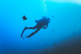 Image result for Hampstead Sub-Aqua Club