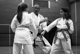 Image result for Loughton Wado-Kai Karate Club