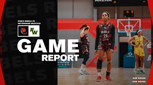 Image result for Nottingham Wildcats