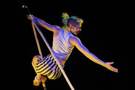 Image result for L&G Acrobatics