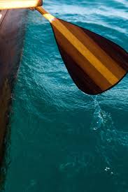 Image result for Westel Canoe Club