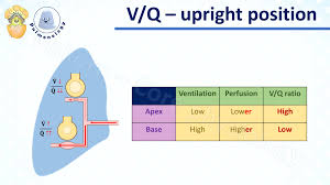 Image result for  v    q