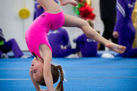 Image result for Focus Institute of Gymnastics