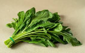 Image result for Gartenkresse