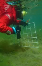 Image result for Bsac London No1 Branch