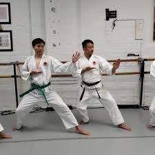 Image result for Shotokan Karate Union
