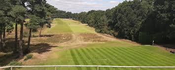 Image result for Blackmoor Golf Club
