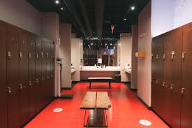 Image result for Lynx Gymnastics Club