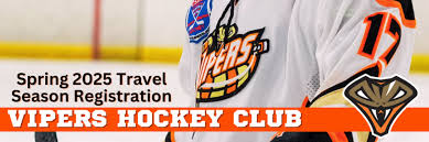 Image result for Vipers Roller Hockey Team