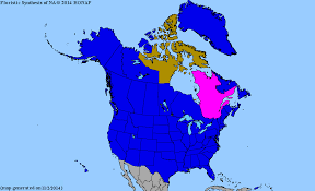 Attēlu rezultāti vaicājumam “Melilotus wolgicus flower”