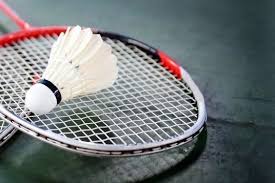 Image result for Guildford and District Badminton League