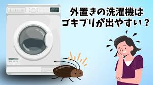 Image result for ゴキブリ報告所