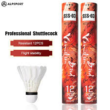 Image result for Flight Badminton Club