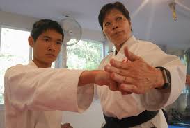 Image result for Northern Freestyle Karate Association